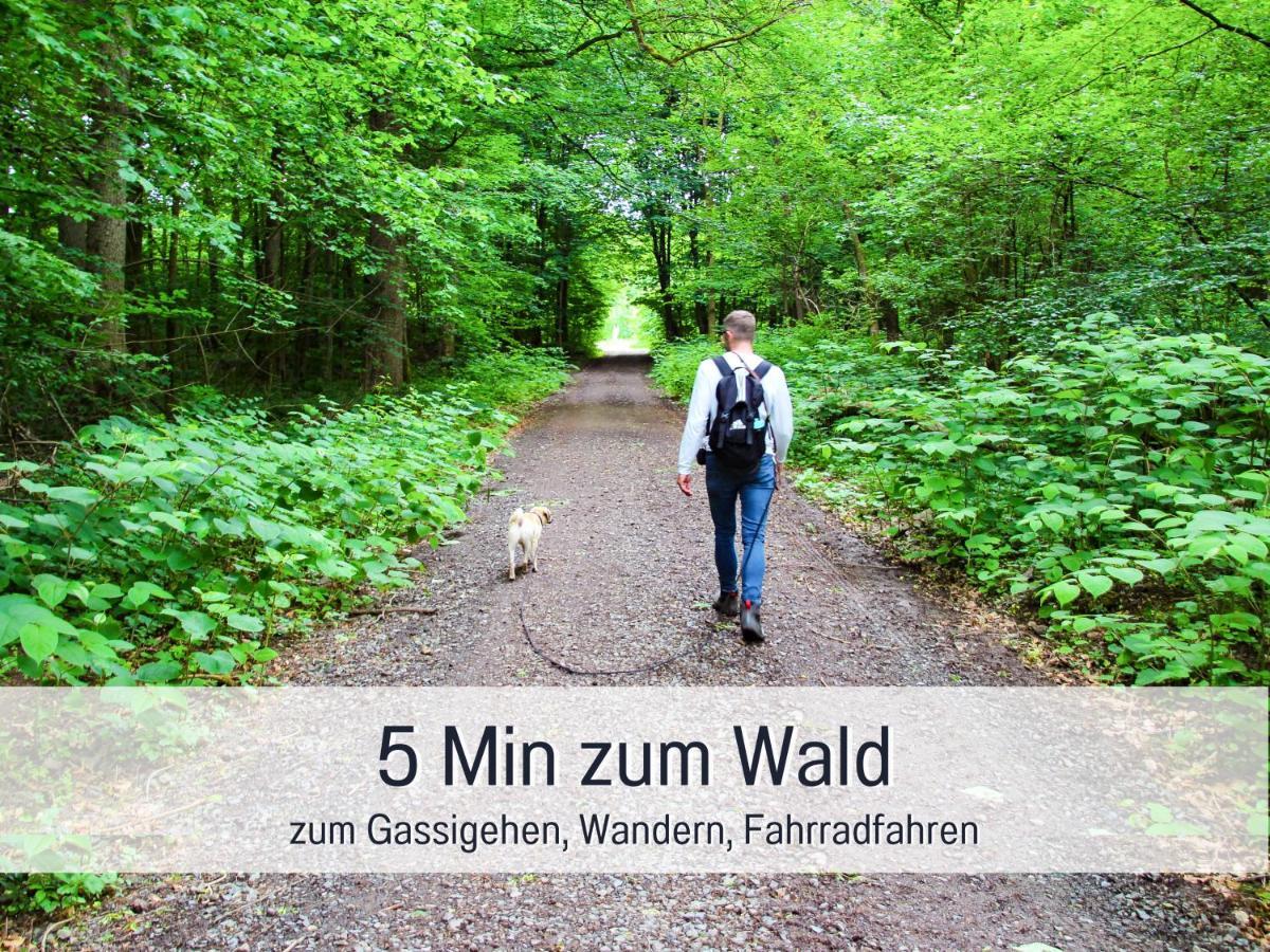 Marks Ferienwohnung In Bad Sachsa - Waldnah, Hundefreundlich, Ruhig! Ideal Fuer Paare Mit Hund Εξωτερικό φωτογραφία